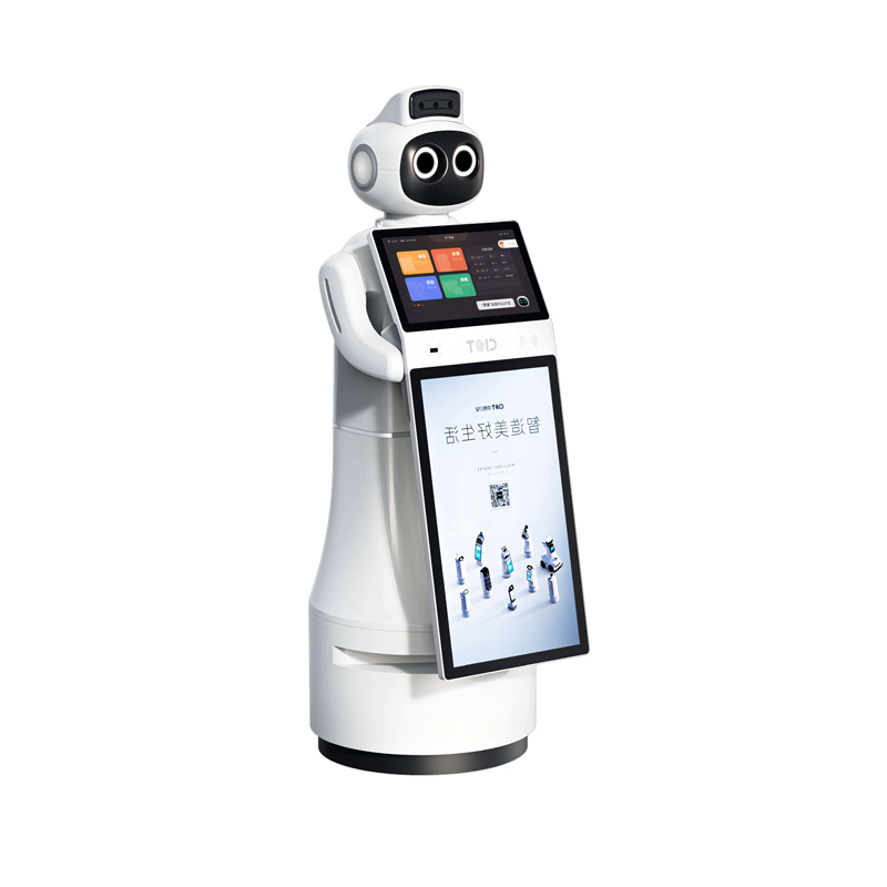 Intelligent visitor robot