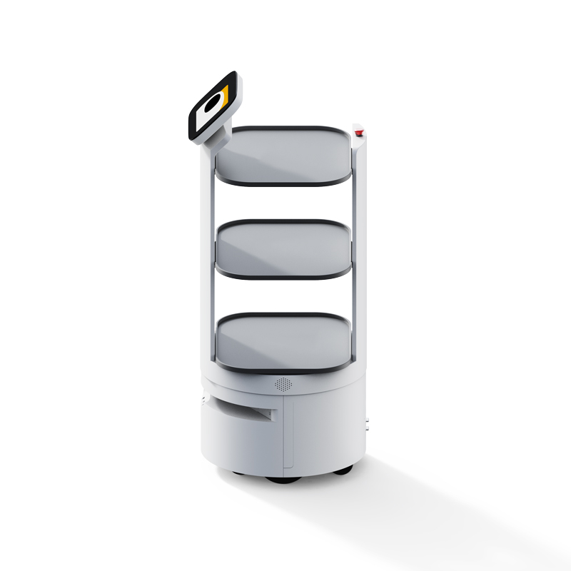 Food delivery robot D3