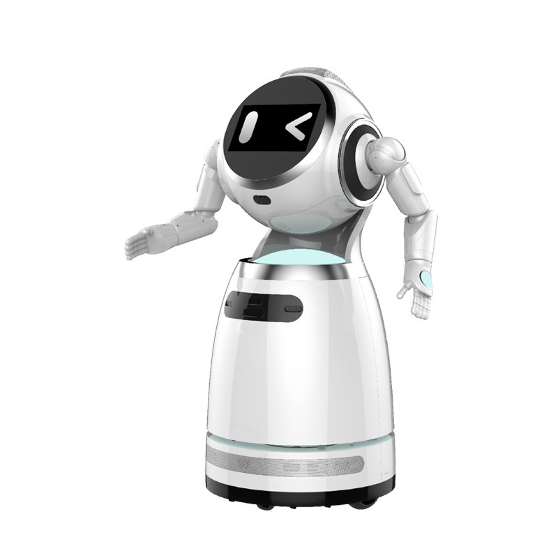 Welcome and explanation robot Y series-Ozawa