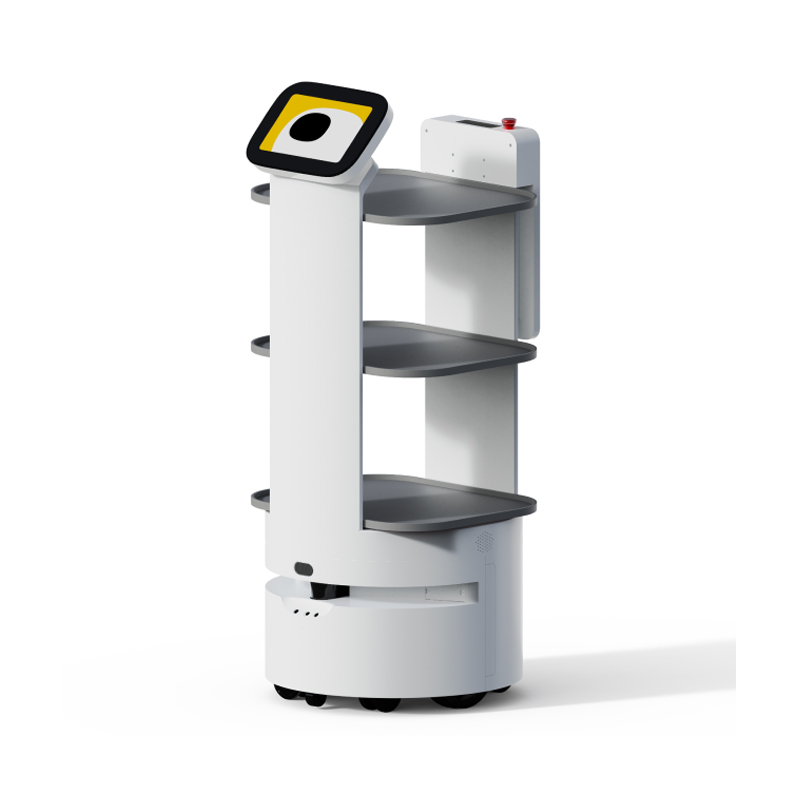Food delivery robot D3