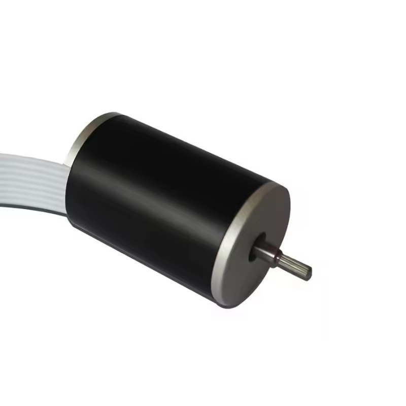 Coreless Brushless DC Motor XBD-2234