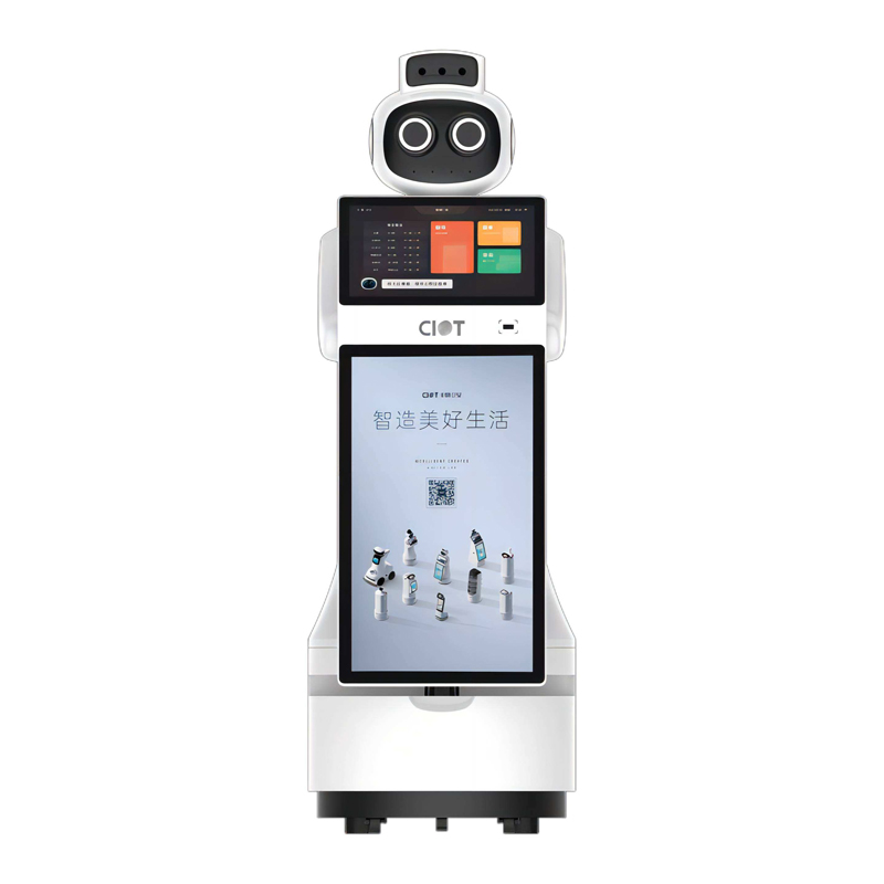 Intelligent visitor robot