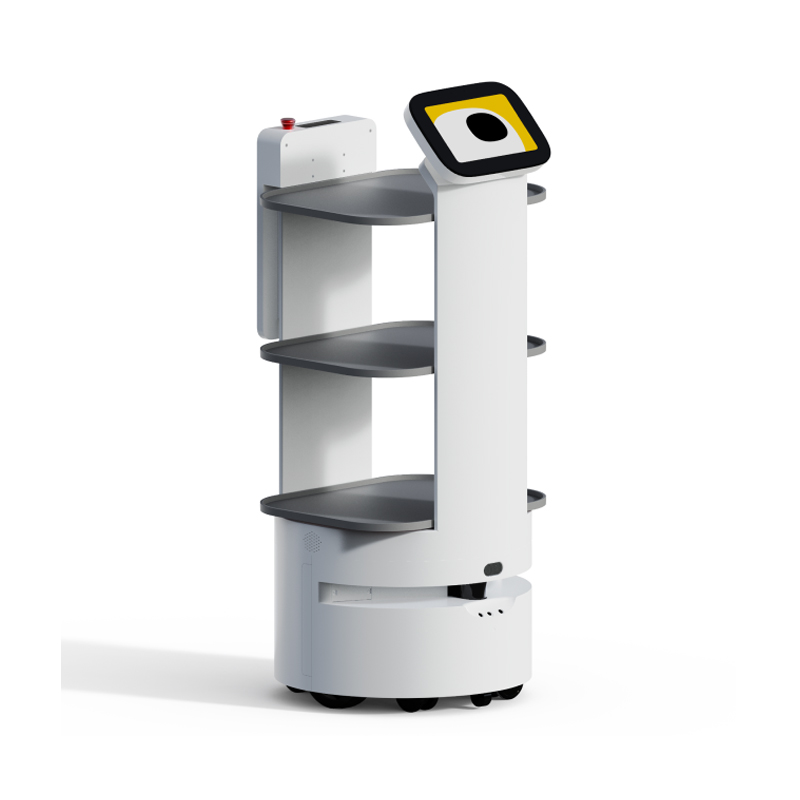 Food delivery robot D3