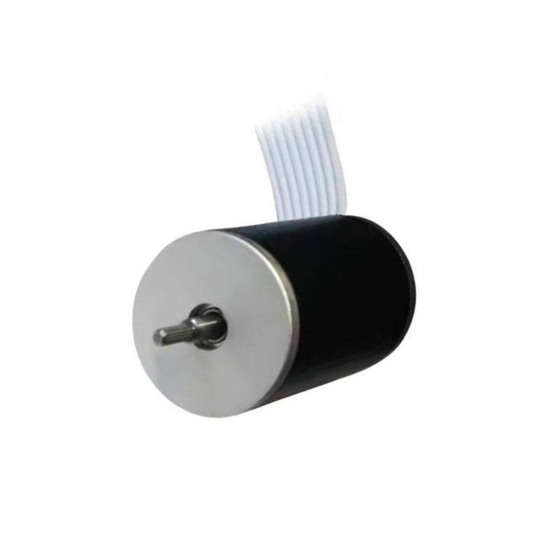 Coreless Brushless DC Motor XBD-2234