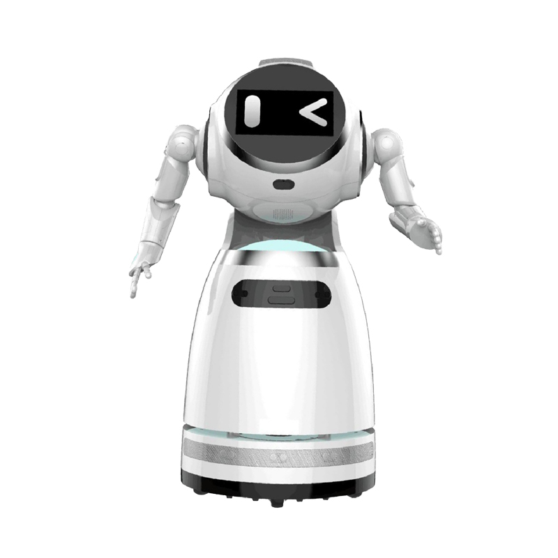 Welcome and explanation robot Y series-Ozawa