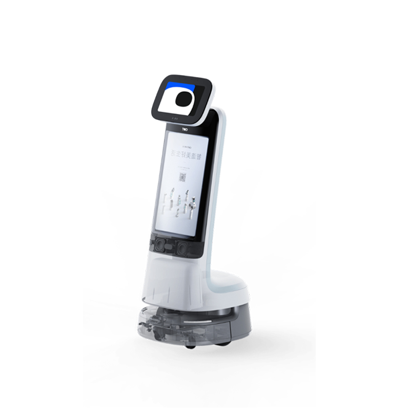 Welcome Service Robot-Small Curry