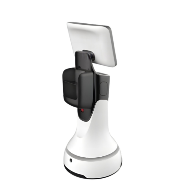 Intelligent reception service robot