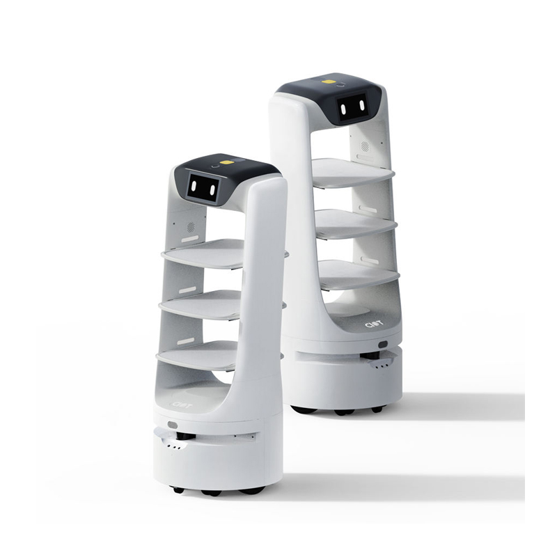 Food delivery robots