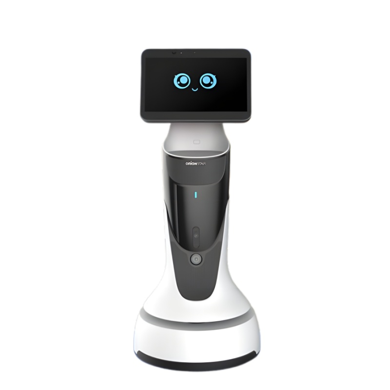 Intelligent reception service robot