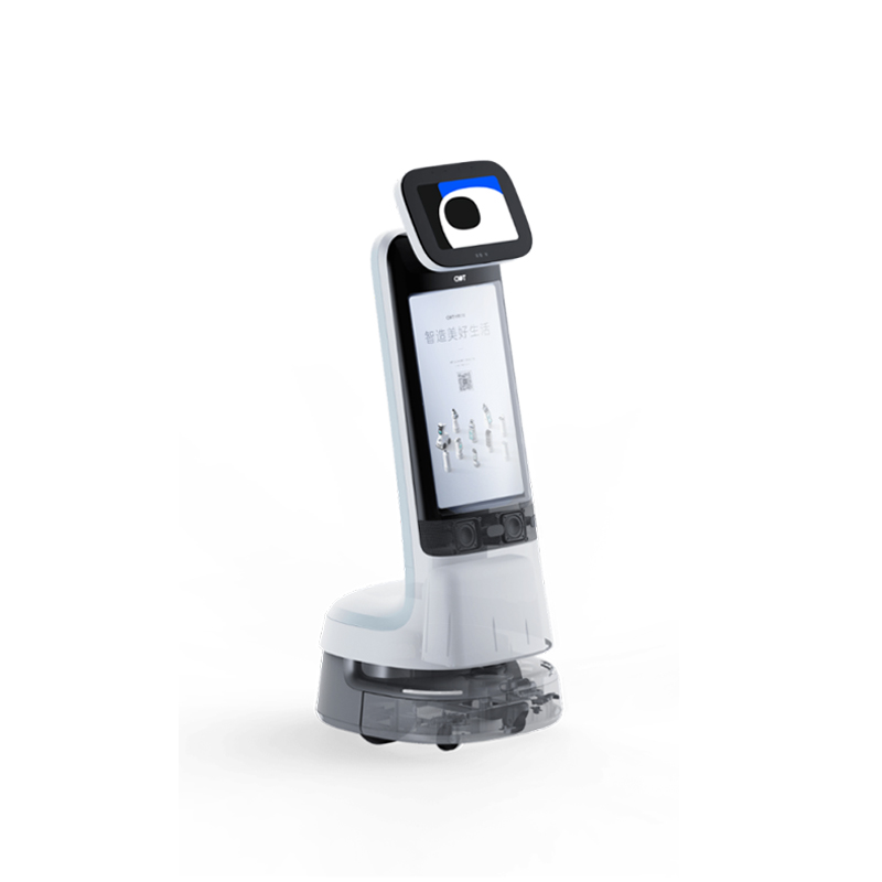 Welcome Service Robot-Small Curry