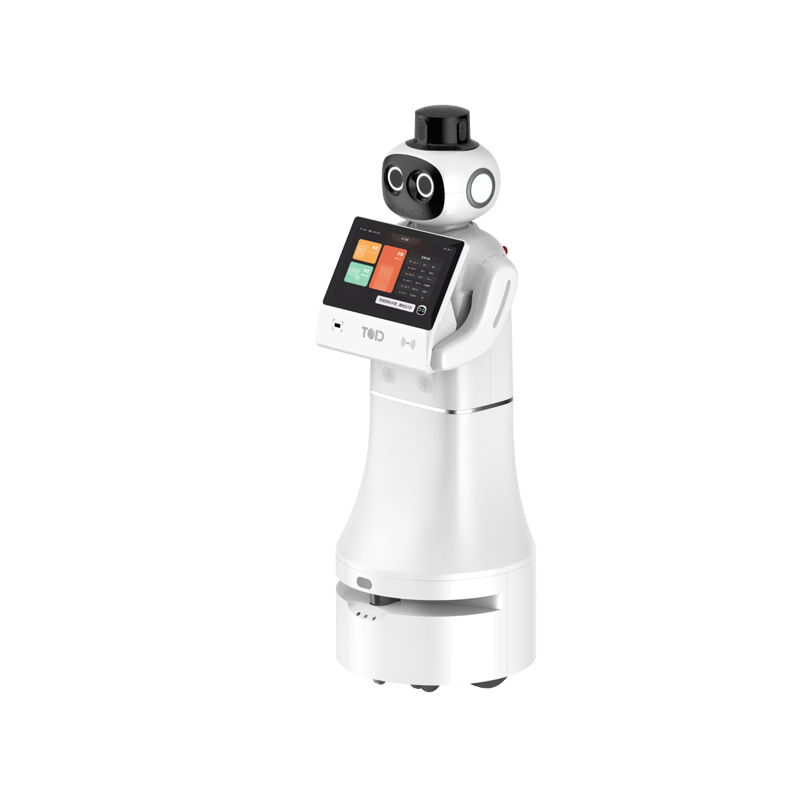 Welcoming patrol robot