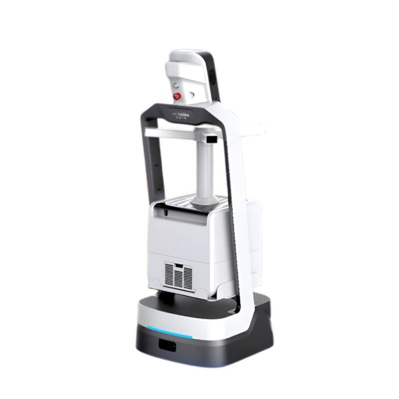 Intelligent disinfection service robot