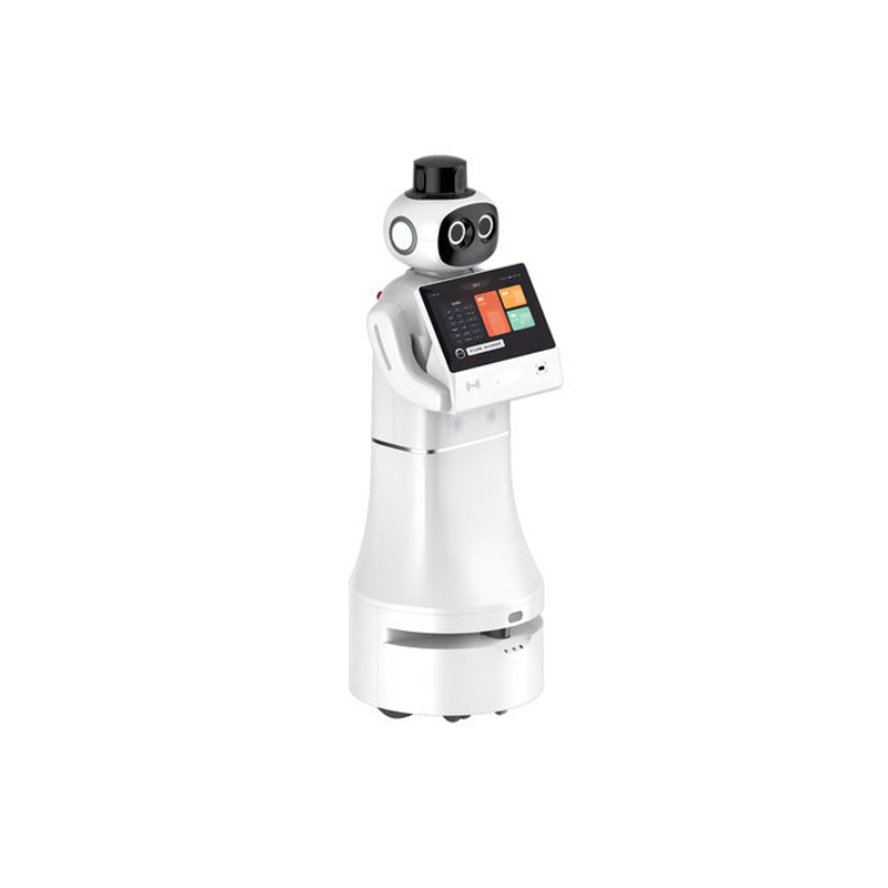 Welcoming patrol robot