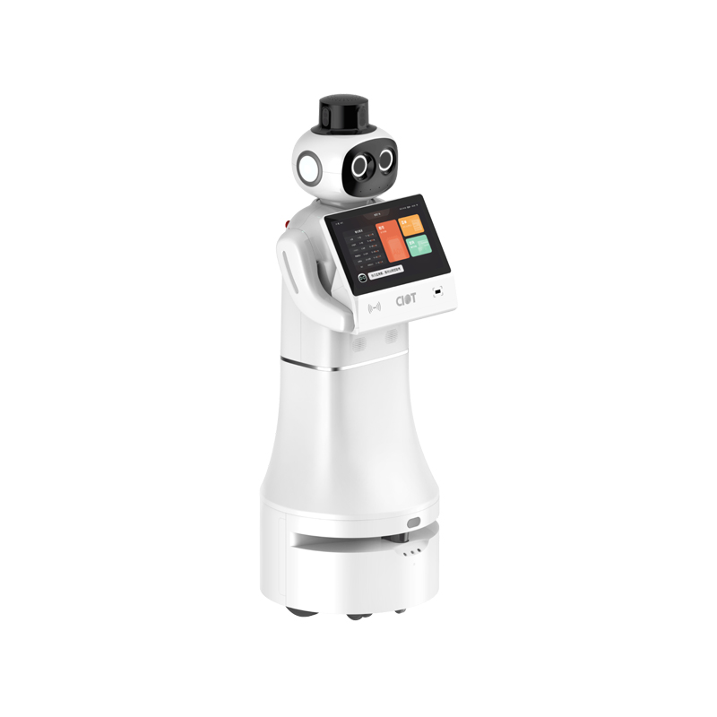 Welcoming patrol robot
