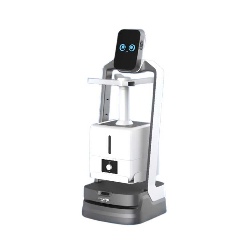 Intelligent disinfection service robot
