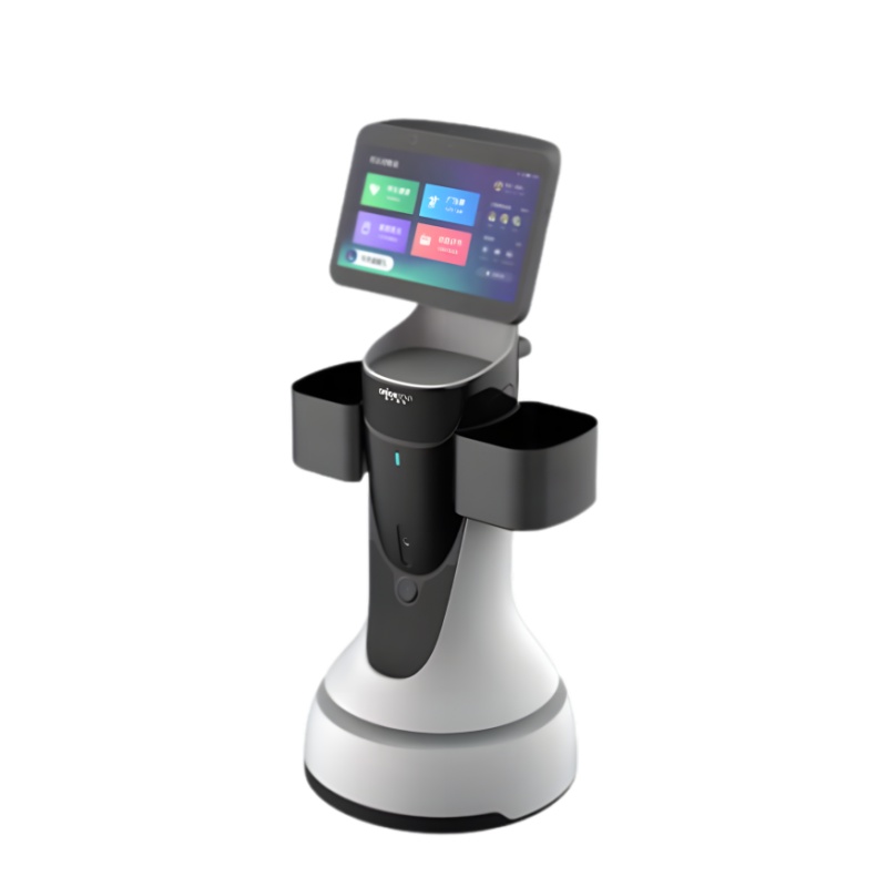 Intelligent reception service robot