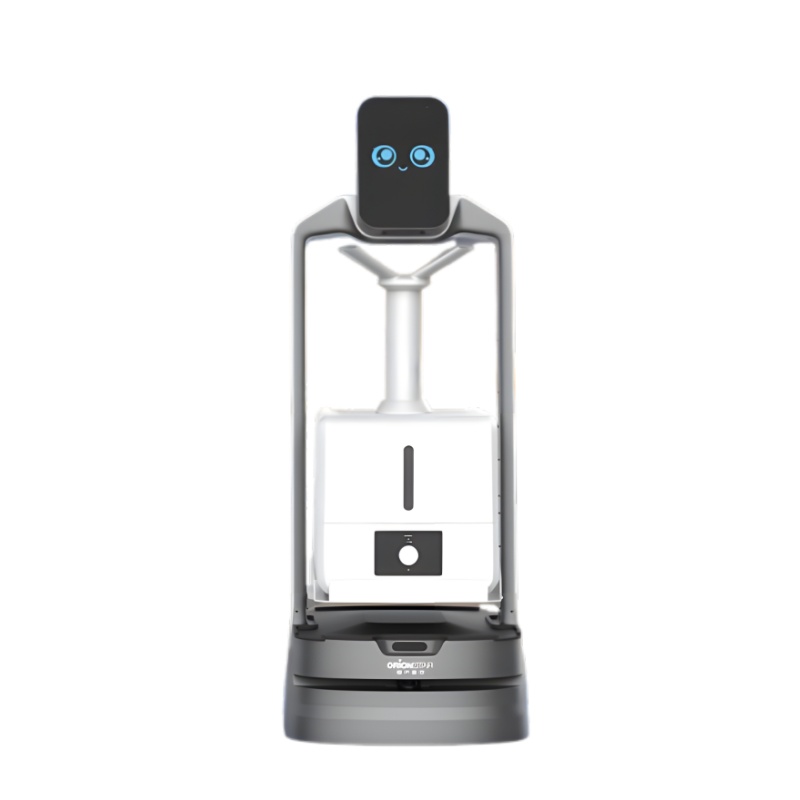 Intelligent disinfection service robot