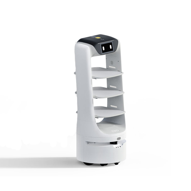 Food delivery robots