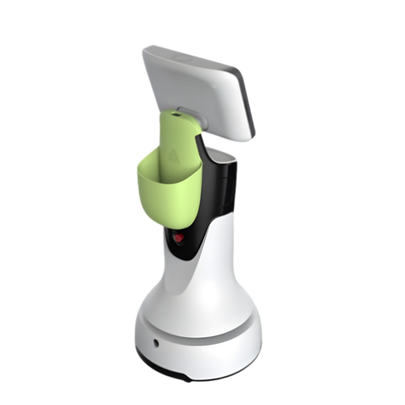 Intelligent reception service robot