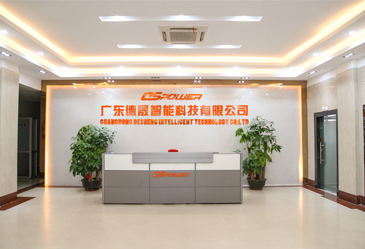 Desheng Intelligent Technology Co., Ltd
