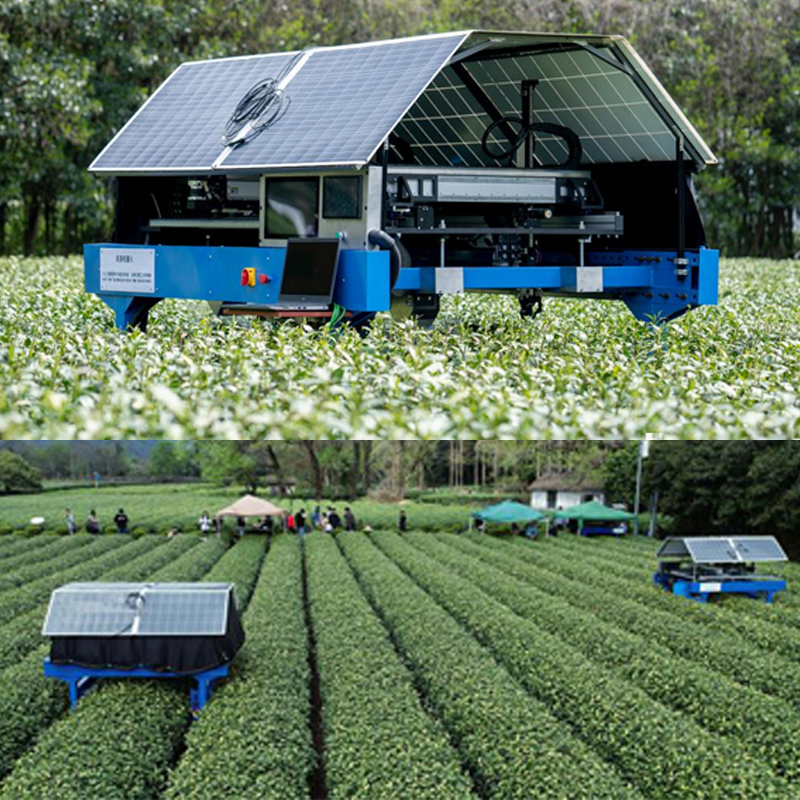 Youcha Intelligent Picking Robot