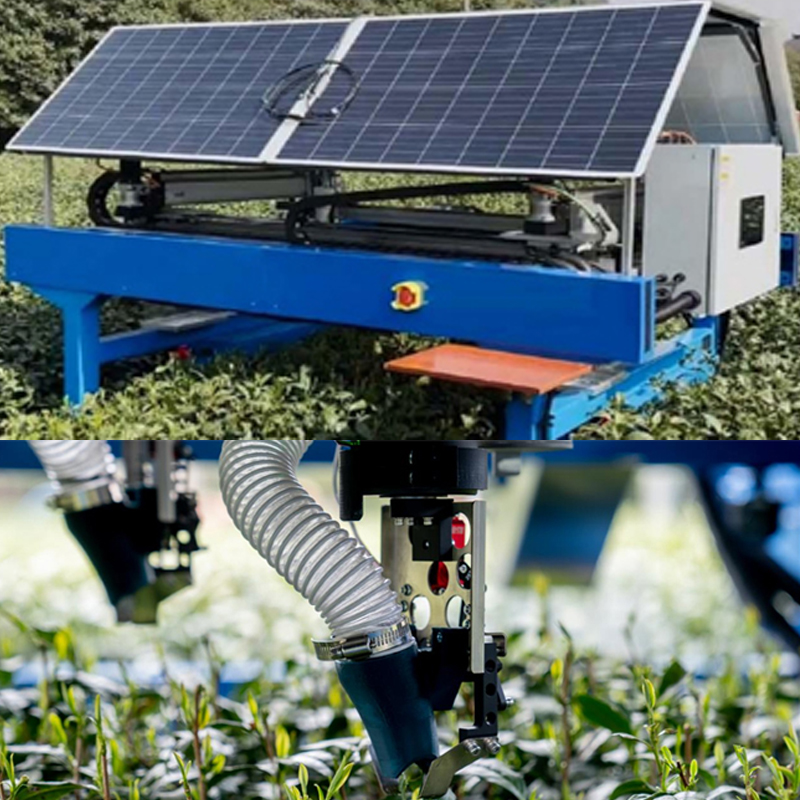 Youcha Intelligent Picking Robot