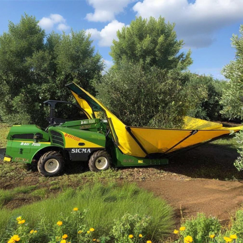 Nut harvester