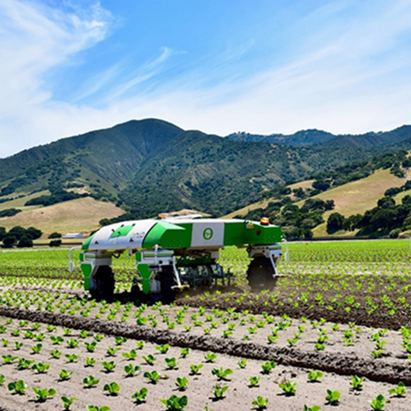 Intelligent weeding robot