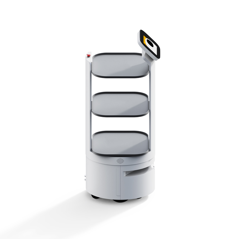 Food delivery robot D3