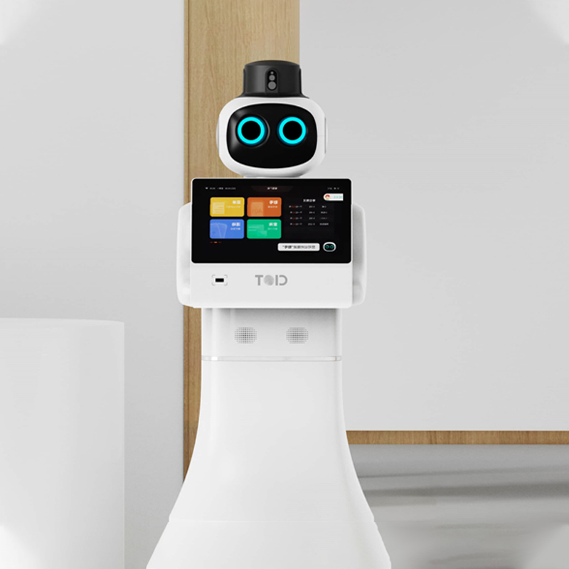 Welcoming patrol robot