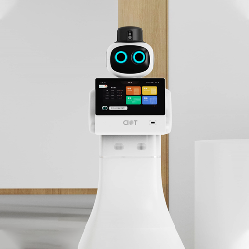 Welcoming patrol robot