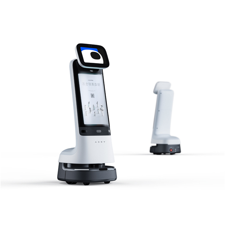 Welcome Service Robot-Small Curry