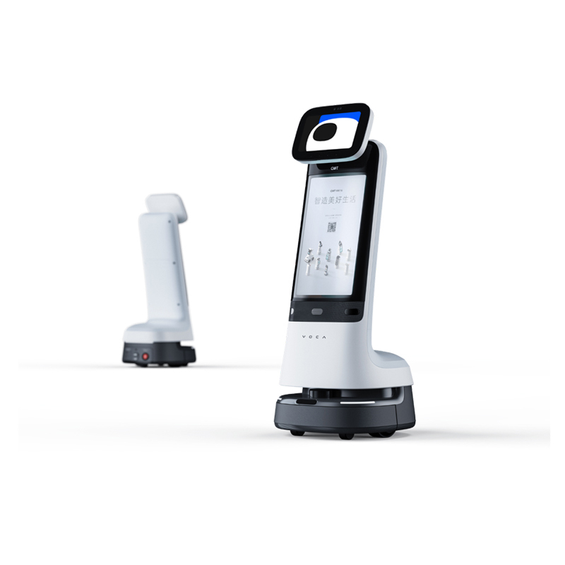 Welcome Service Robot-Small Curry