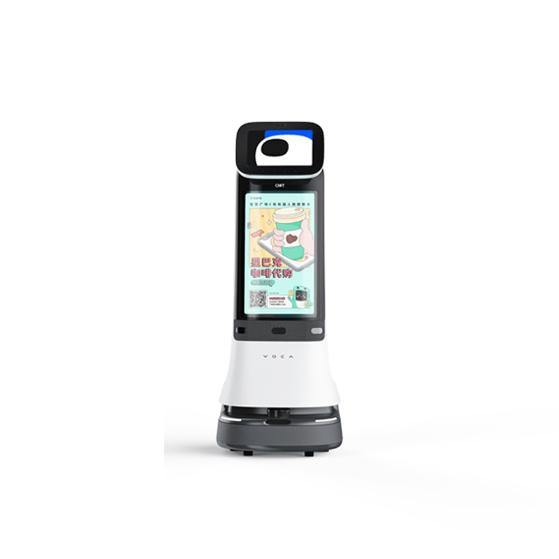 Welcome Service Robot-Small Curry