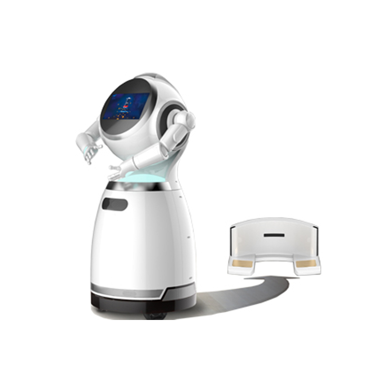 Welcome and explanation robot Y series-Ozawa
