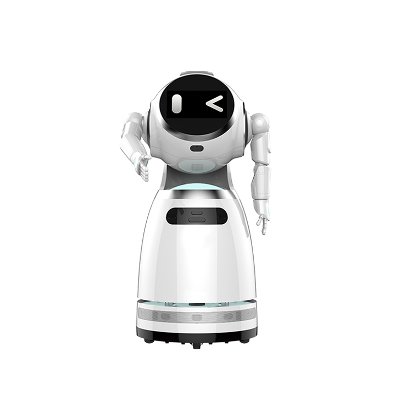 Welcome and explanation robot Y series-Ozawa