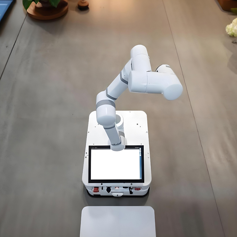 AGV composite robot