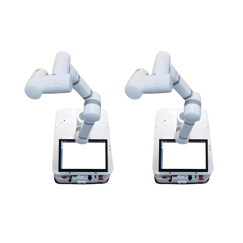AGV composite robot